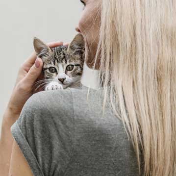 Oxycoupage en chanfrein pour atelier technique à France